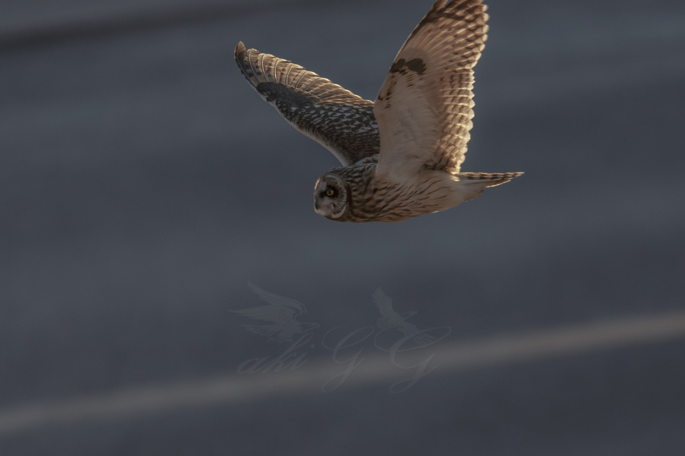 AT2T0796-77.jpg