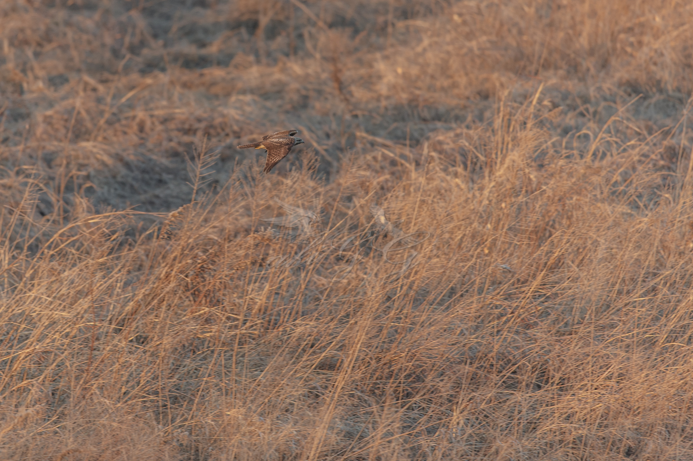 AT2T0882-77.jpg