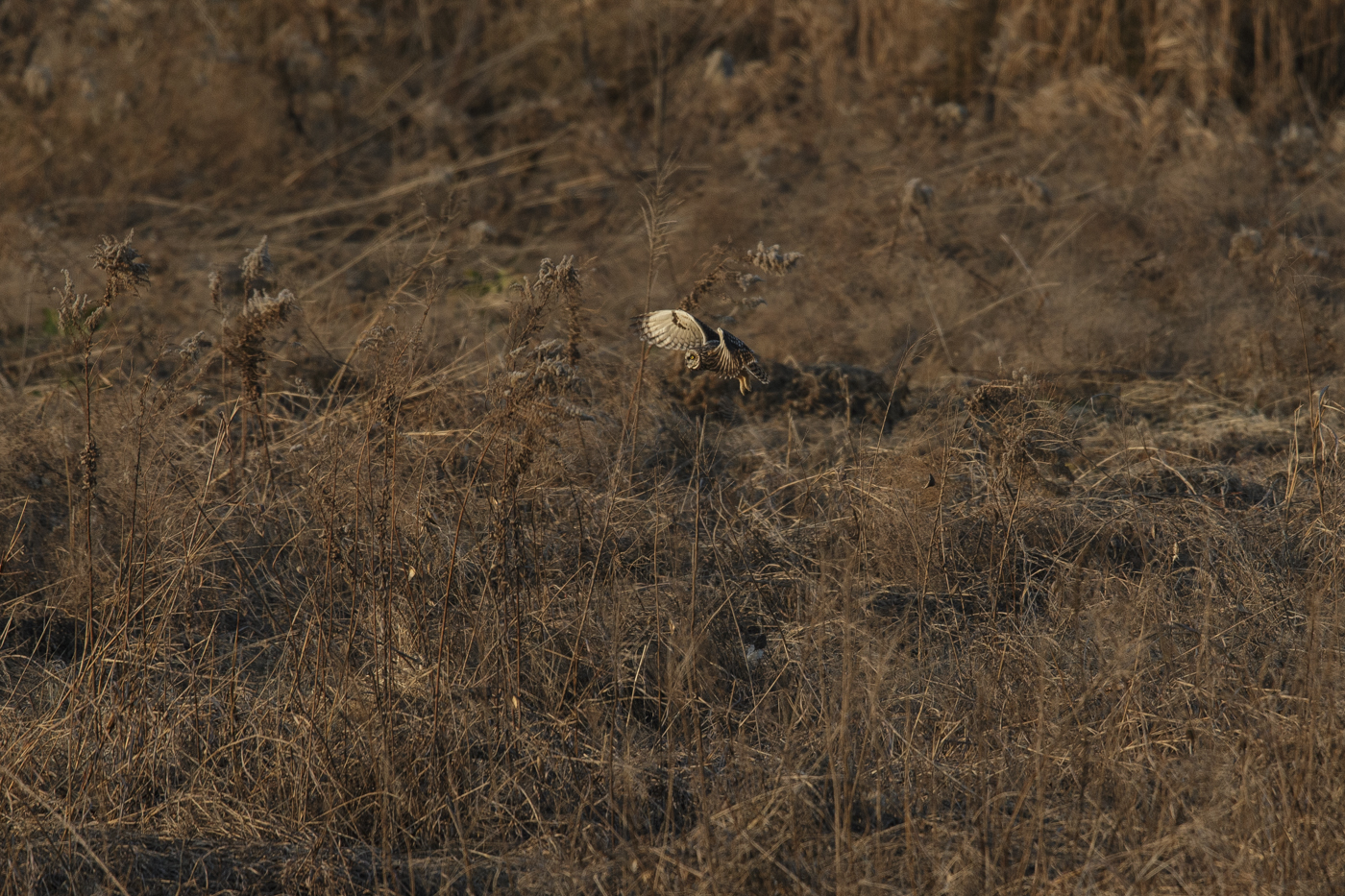 AT2T0940-7.jpg