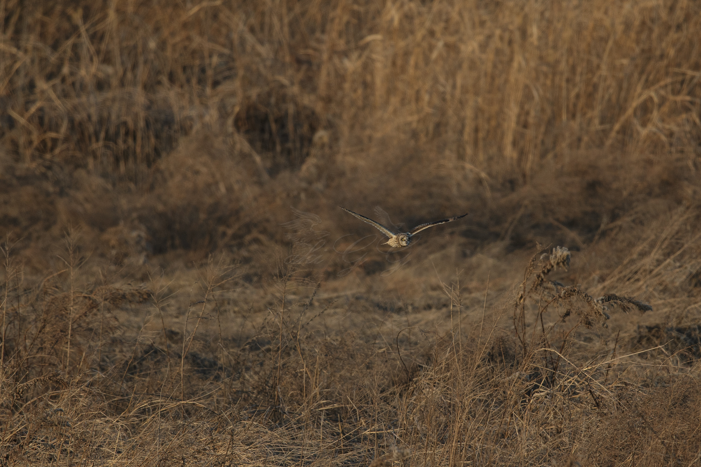 AT2T0952-7.jpg