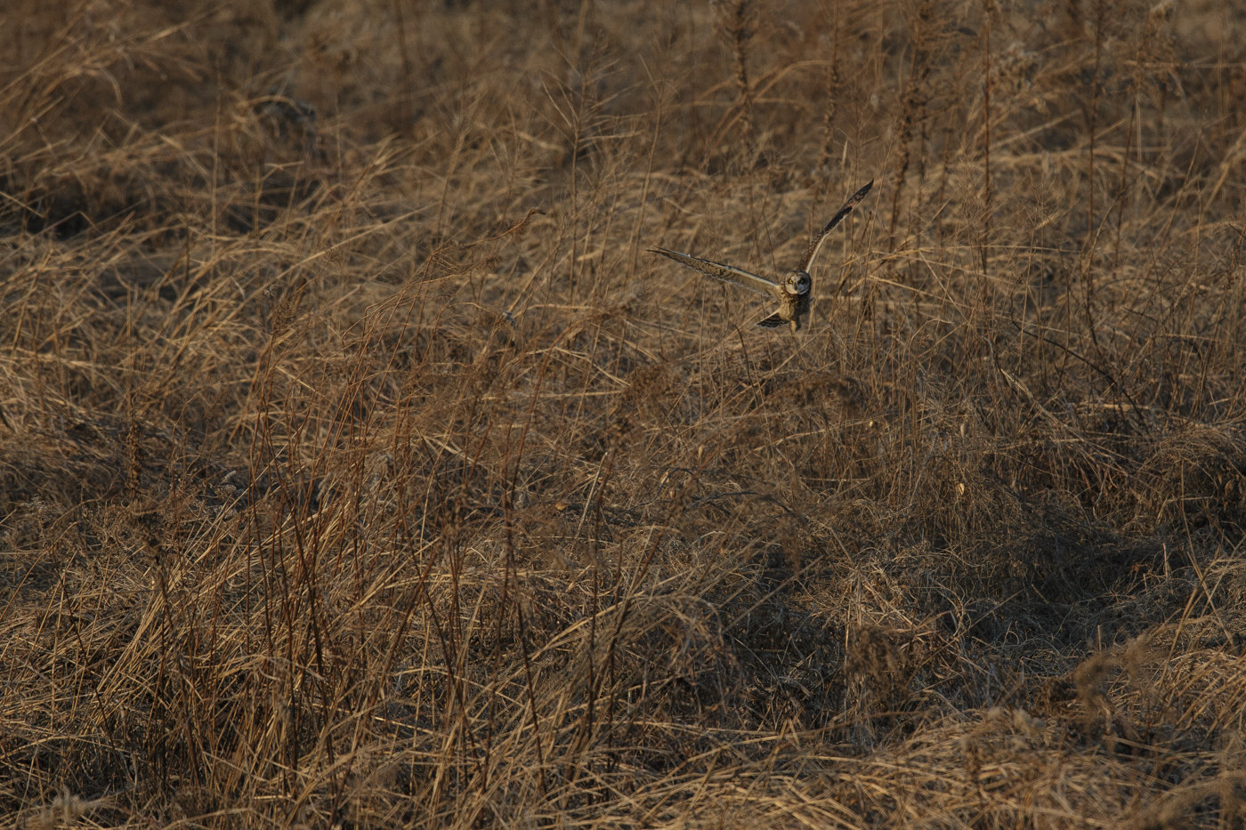 AT2T0978-7.jpg