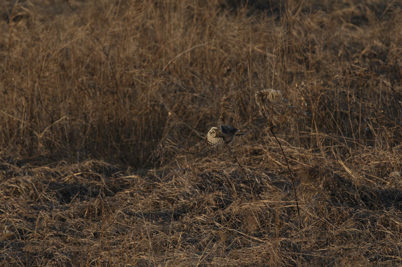 AT2T0986-7.jpg
