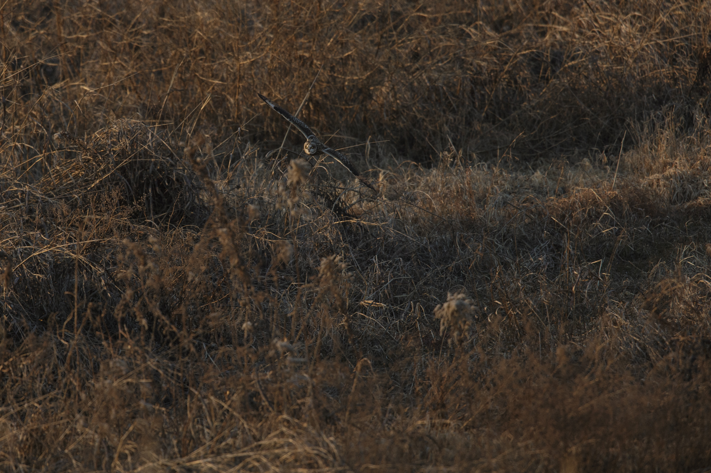 AT2T1016-7.jpg
