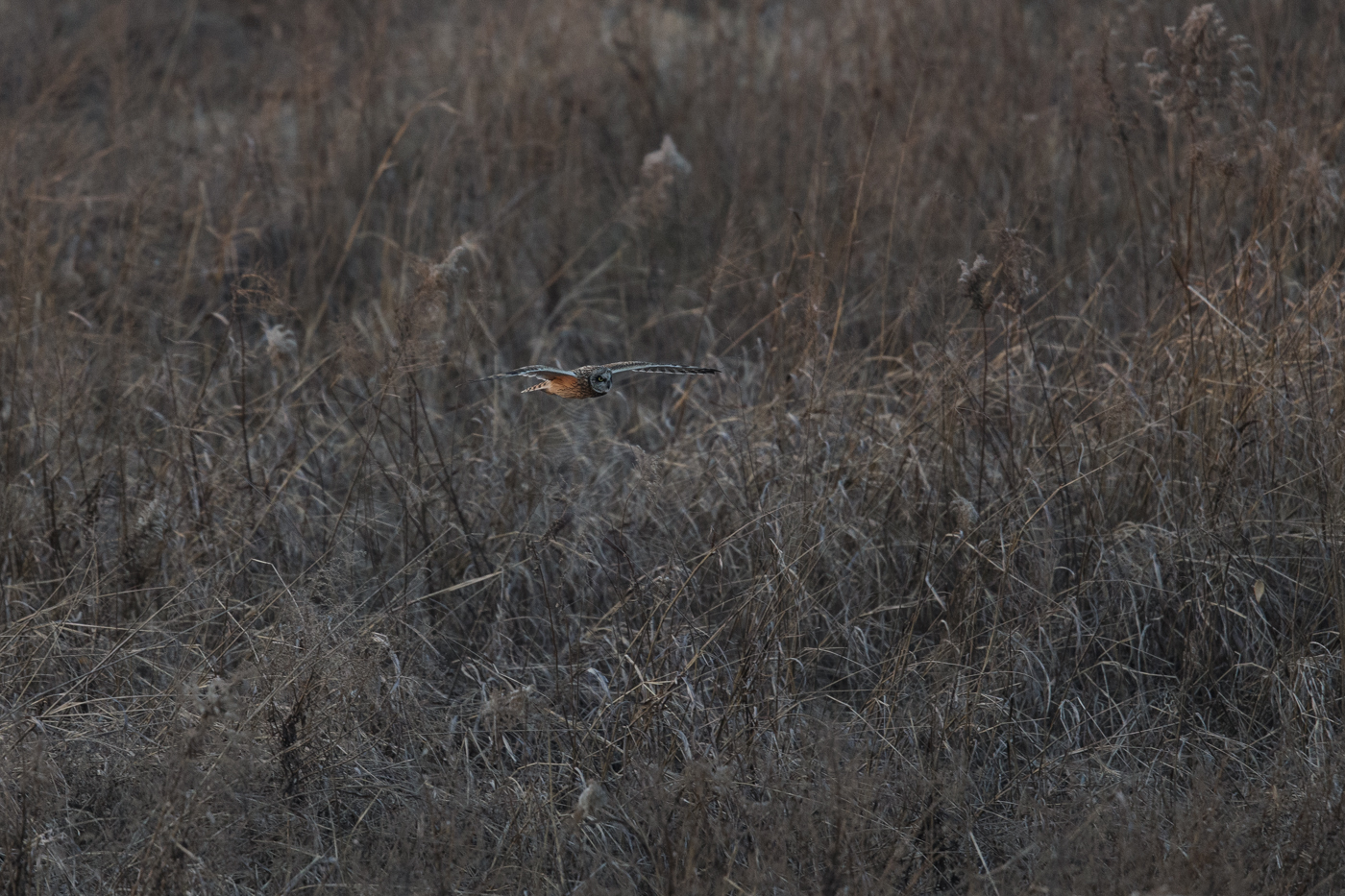 AT2T1109-7.jpg