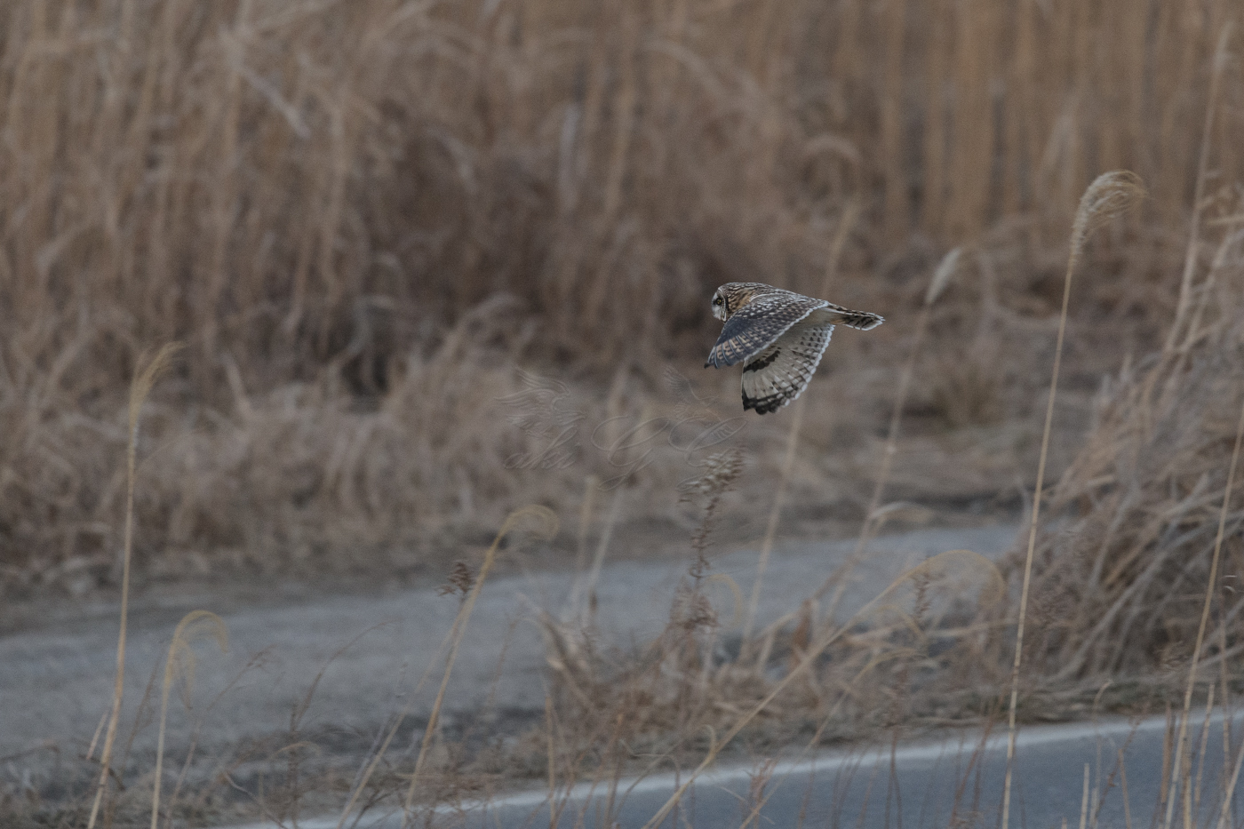 AT2T1158-7.jpg