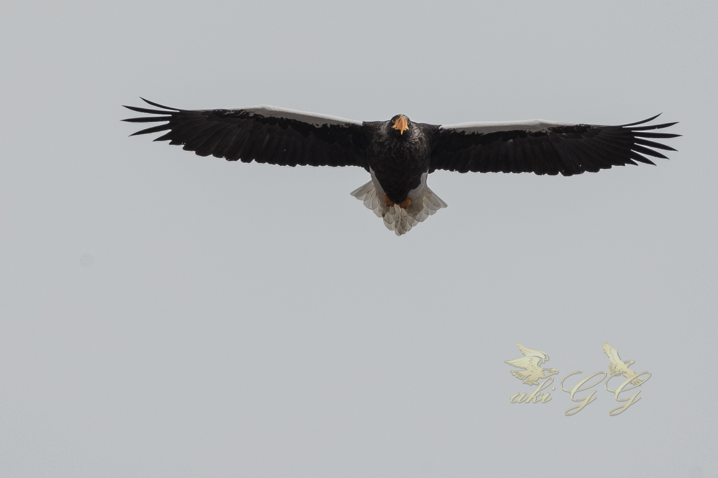 AT2T1490-7.jpg