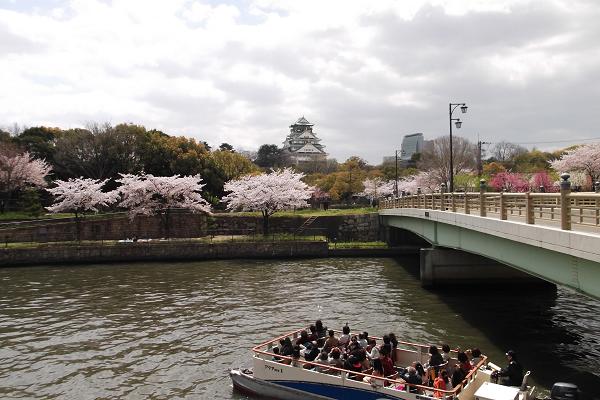 桜の大阪城と遊覧船