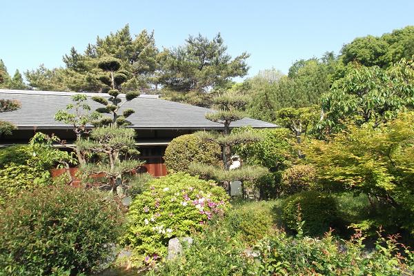 新緑の日本家屋