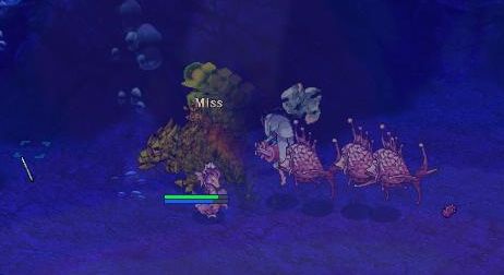 ssssss.jpg