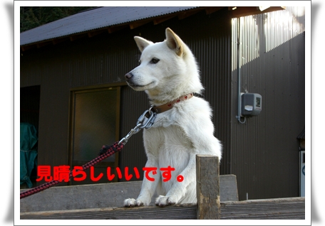 見晴らしいいです。