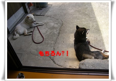 もちろん?!