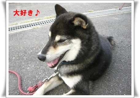 大好き♪