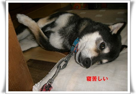寝苦しい
