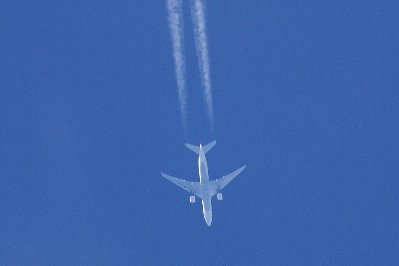 s-DPP_0271.jpg