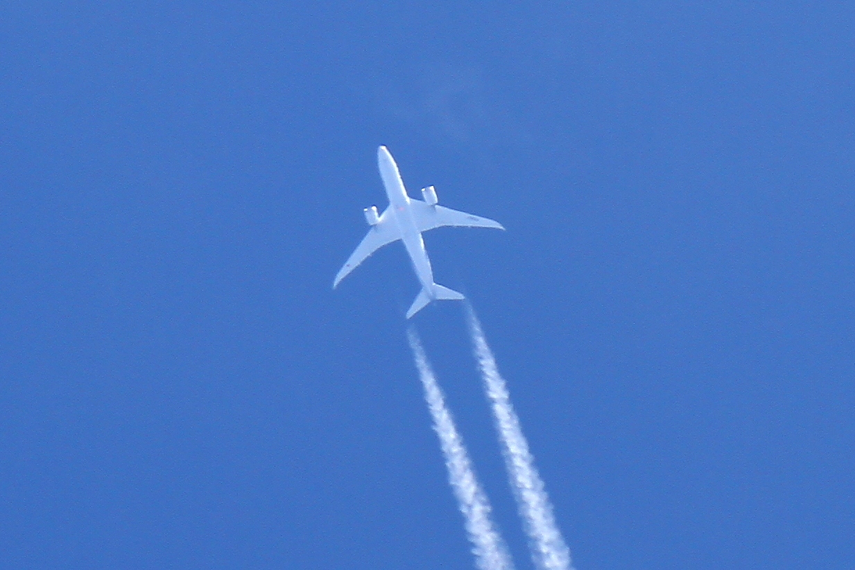 s-DPP_0272.jpg