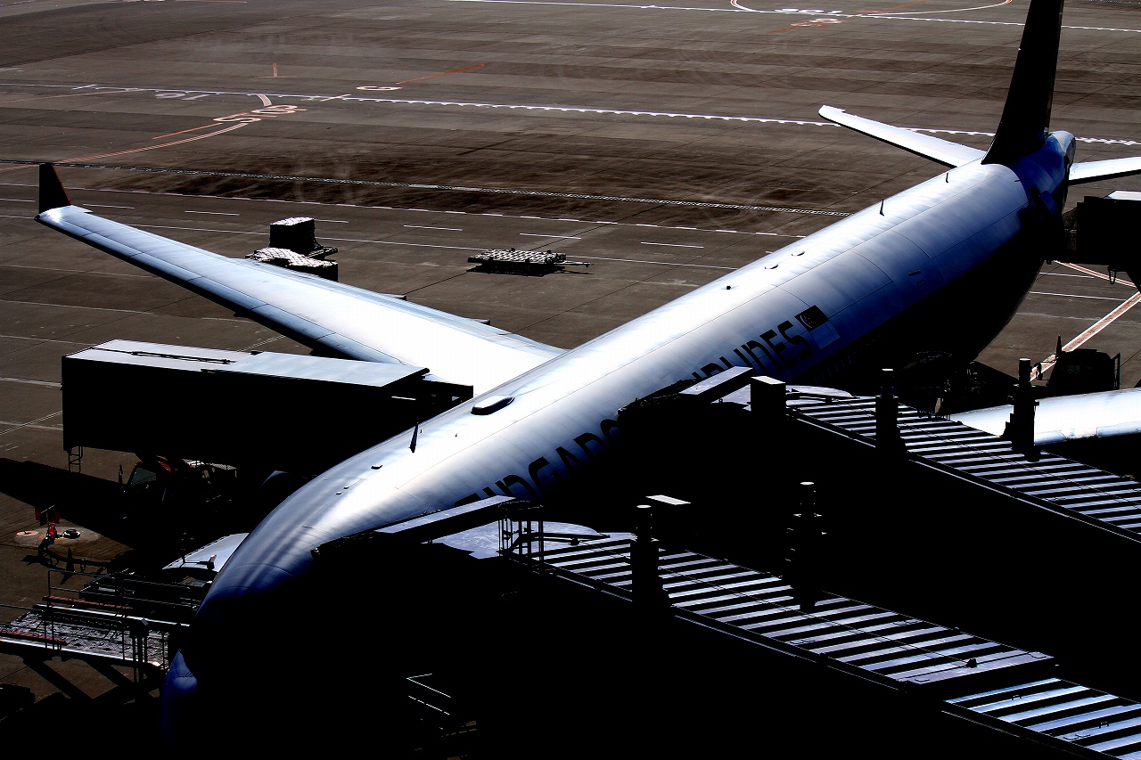 s-DPP_0305.jpg