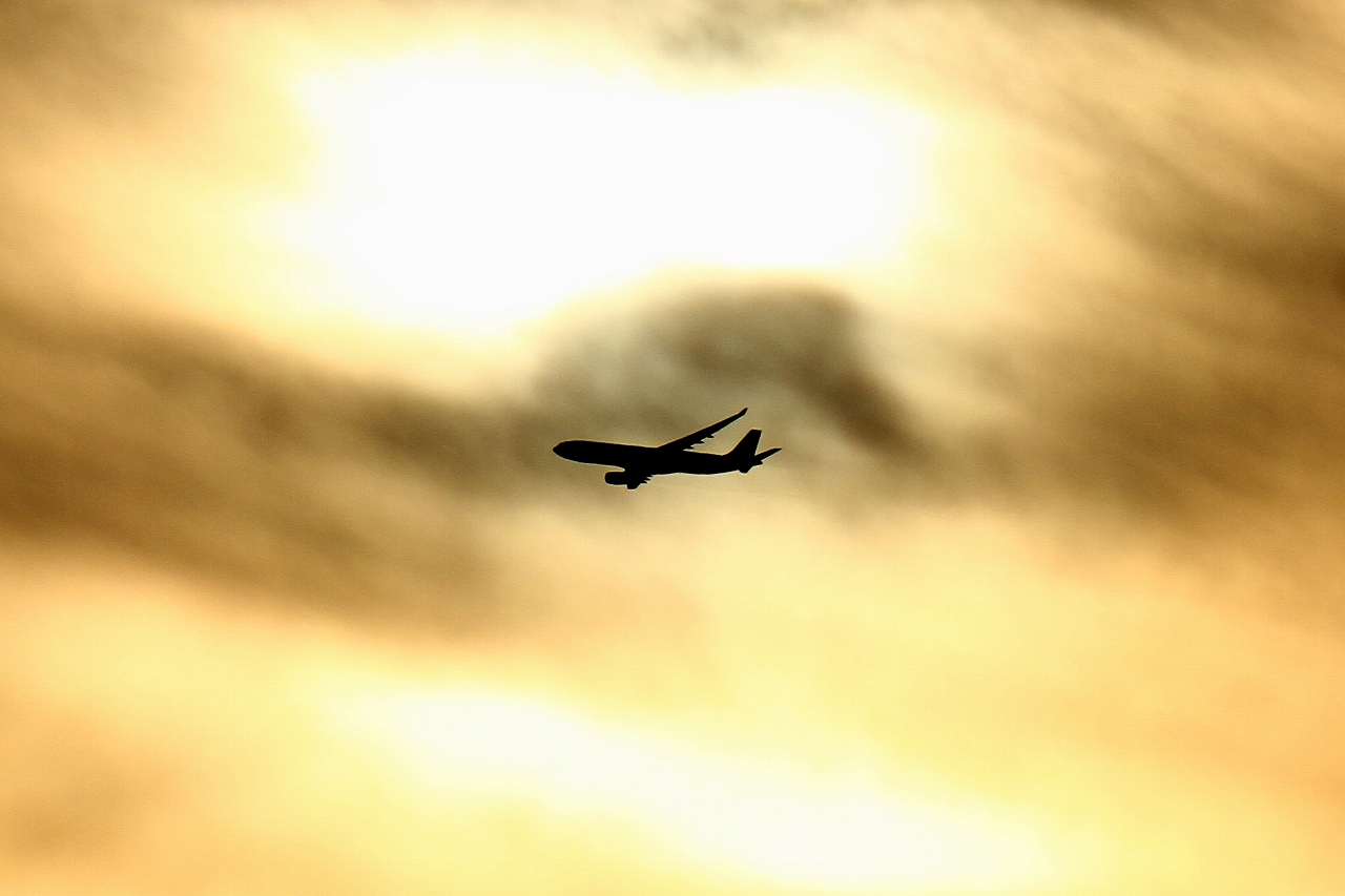 s-DPP_0309.jpg