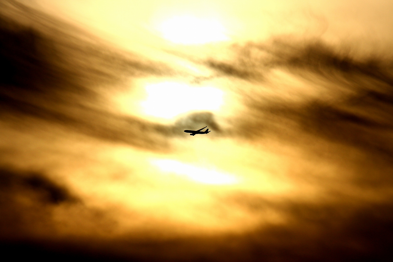 s-DPP_0311.jpg