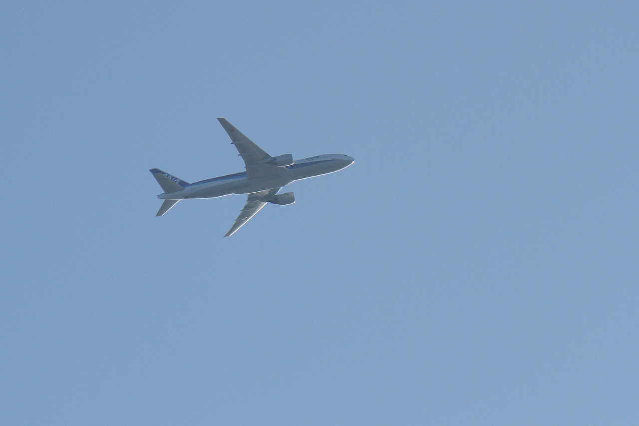 s-DPP_0340.jpg
