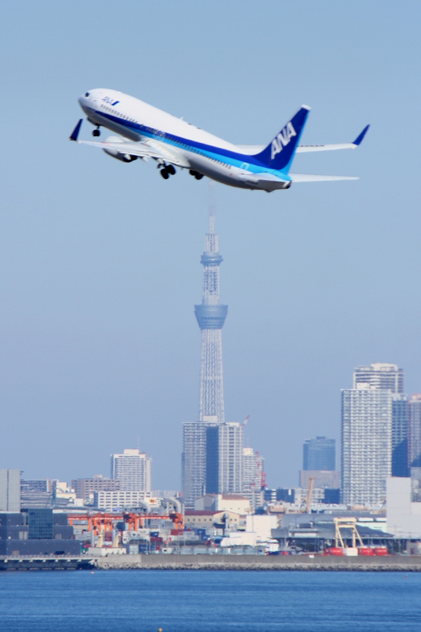 s-DPP_0382.jpg