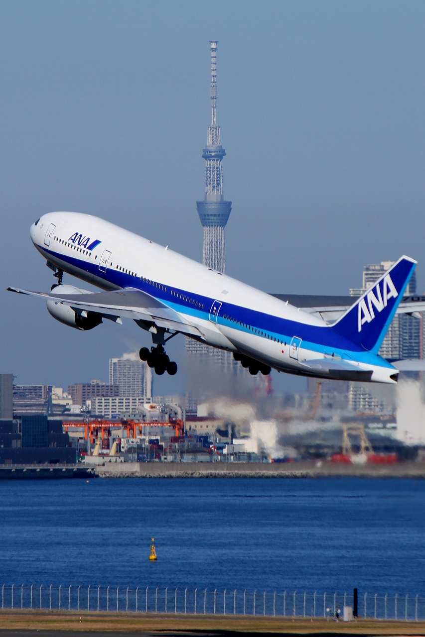 最高飛行機 壁紙 スマホ Ana 美しい花の画像