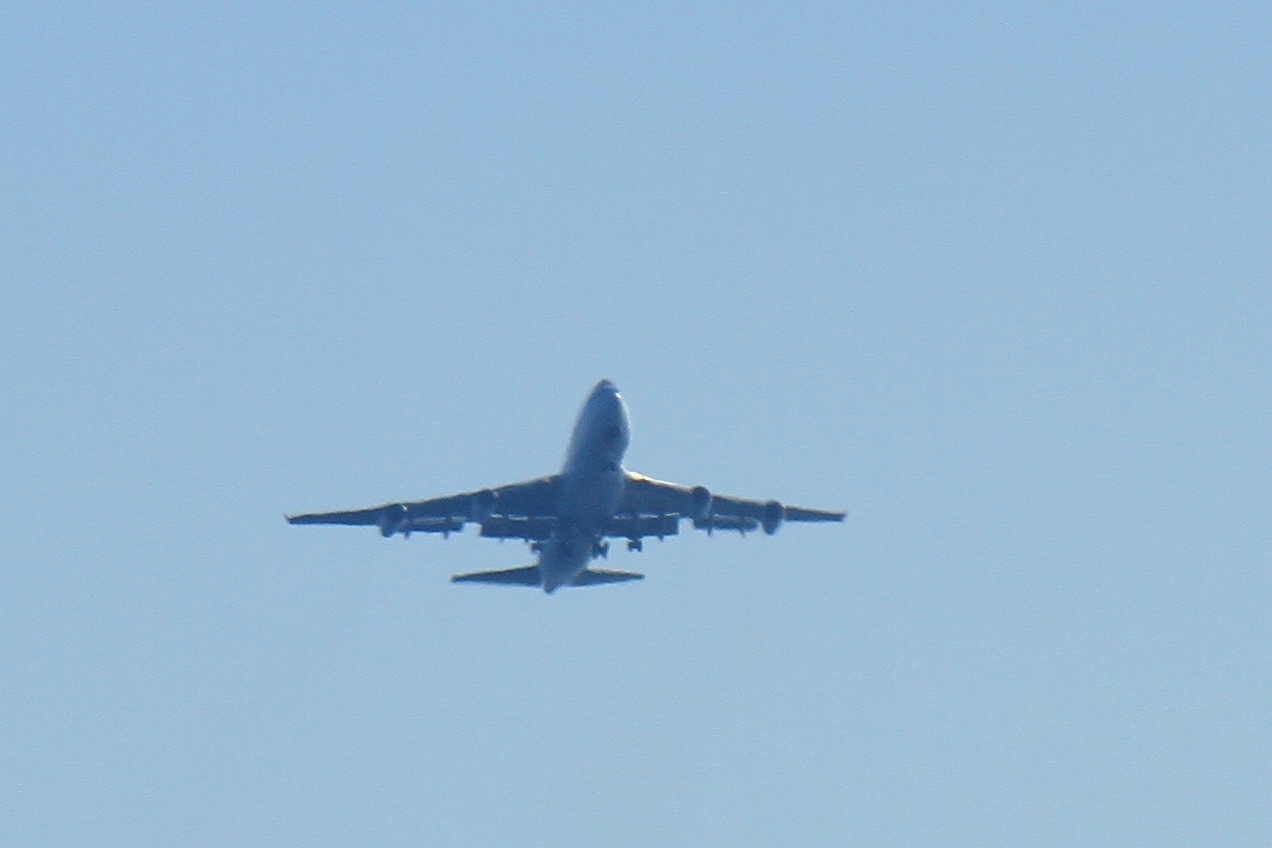 s-DPP_0408.jpg