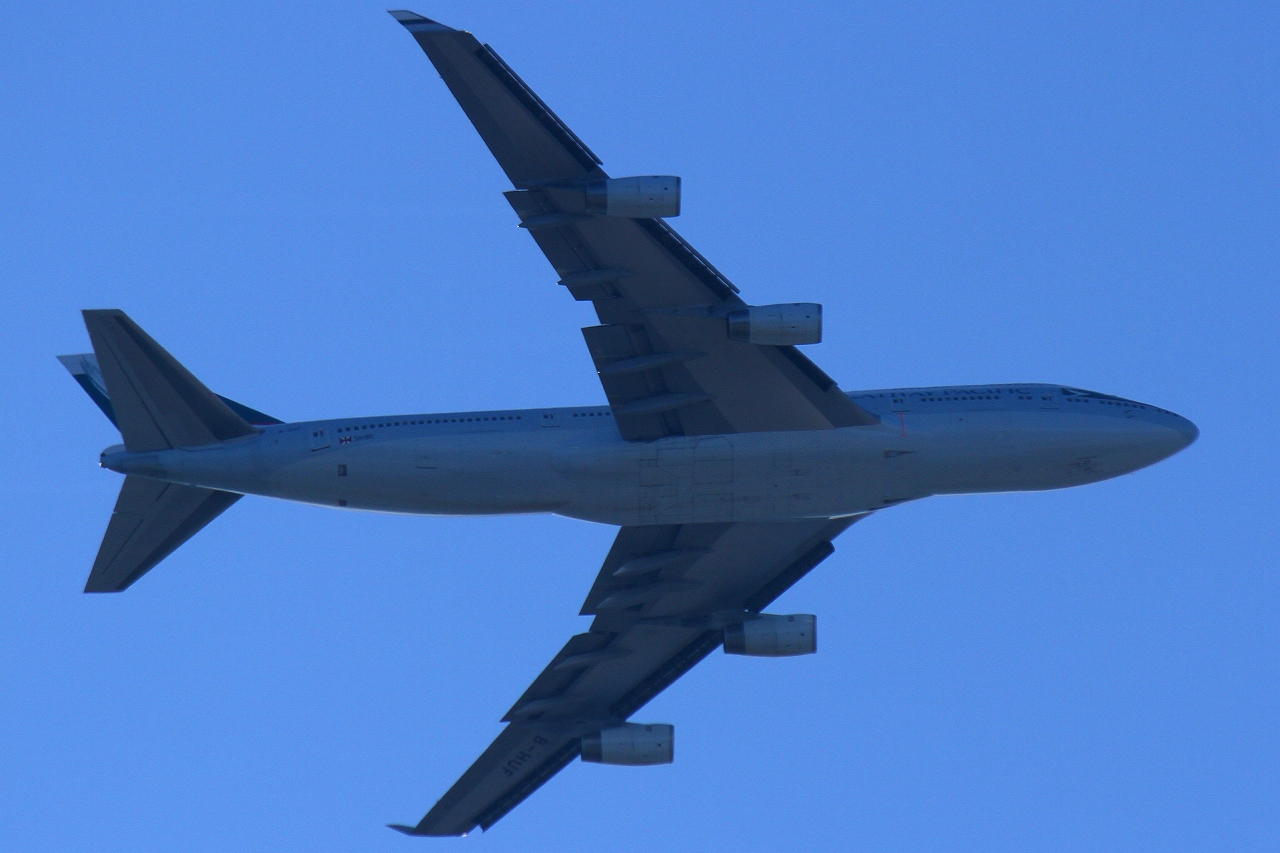 s-DPP_0411.jpg