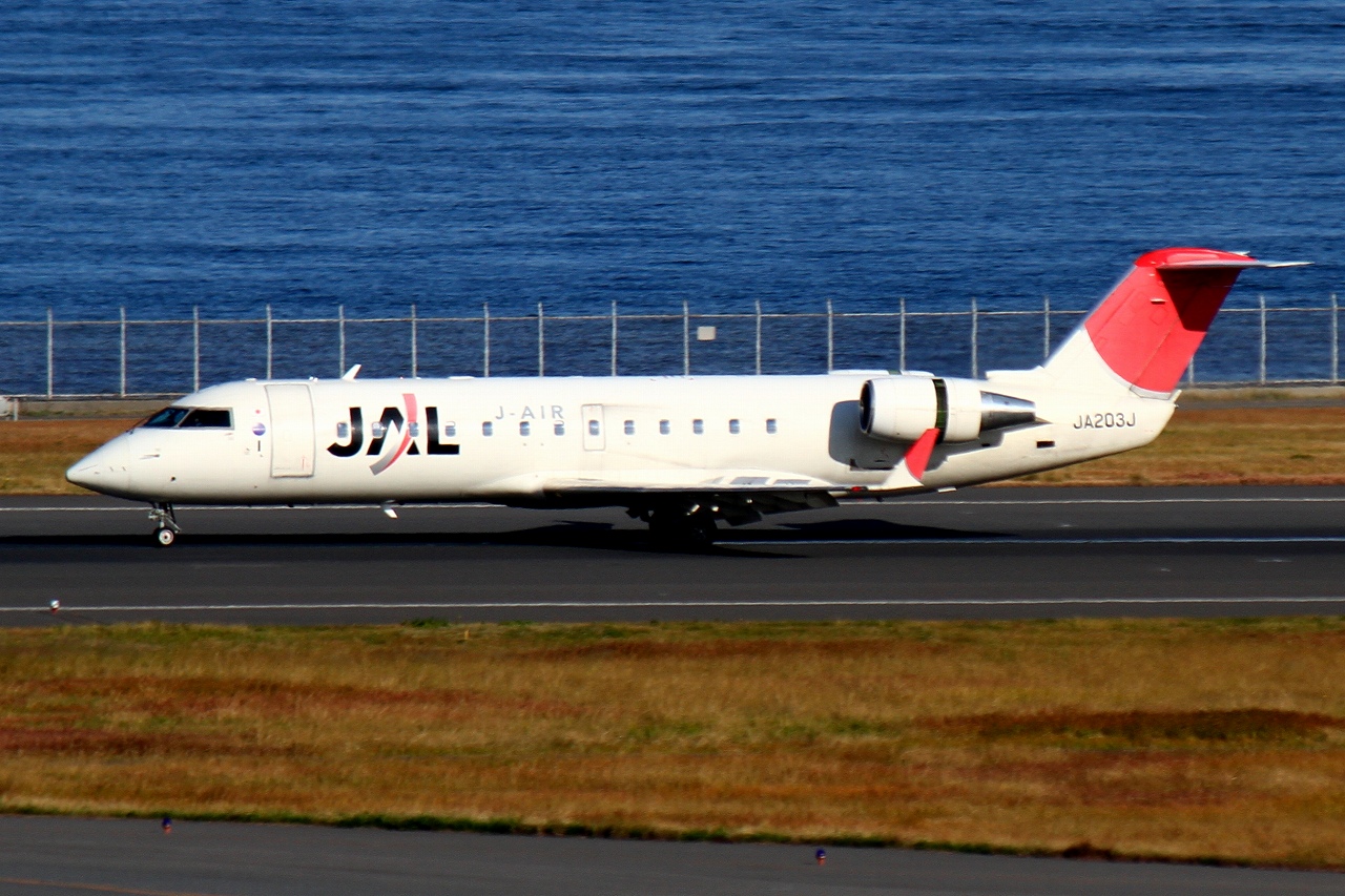 s-DPP_0420.jpg