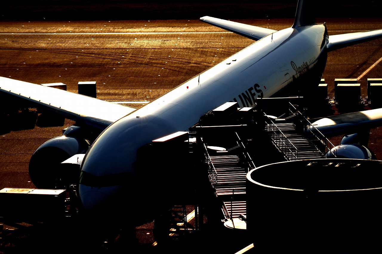 s-DPP_0423.jpg