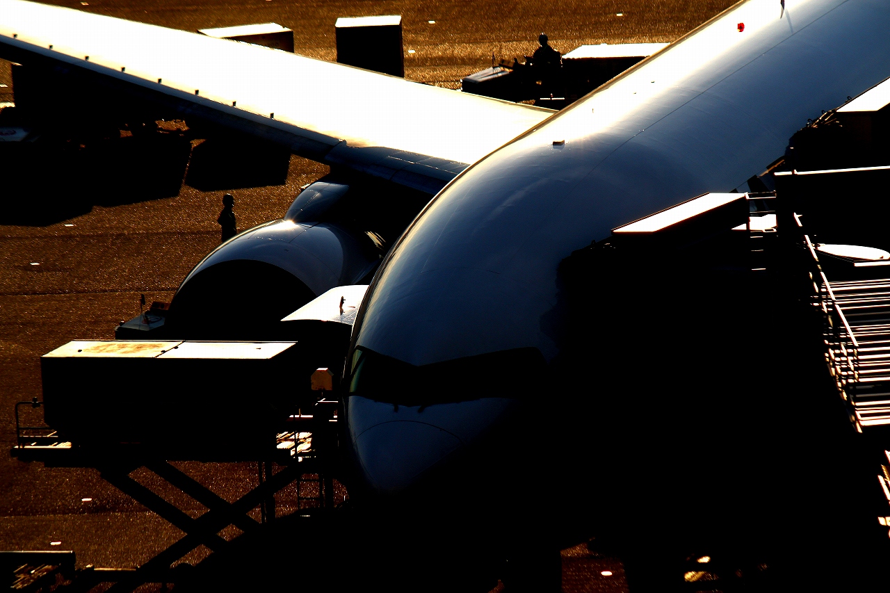 s-DPP_0424.jpg
