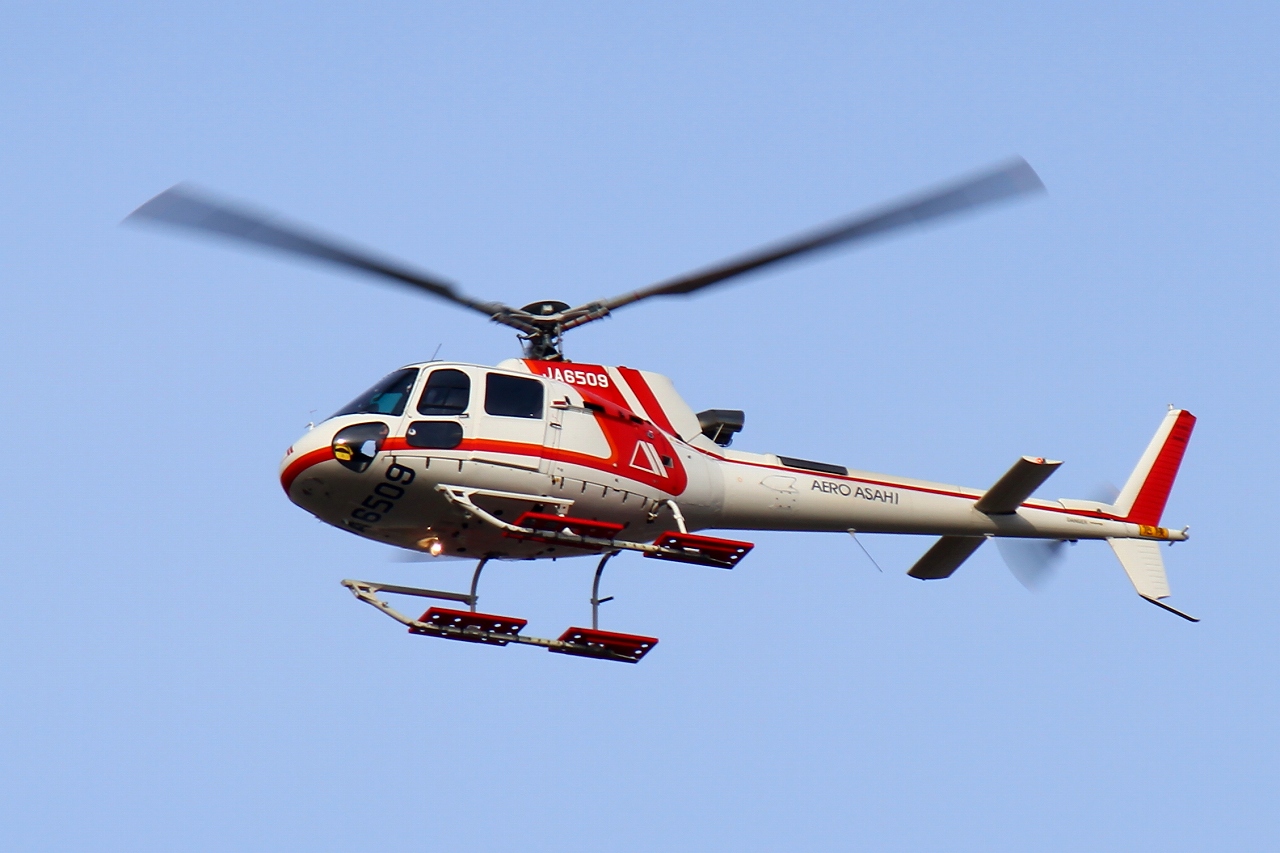 s-DPP_0440.jpg