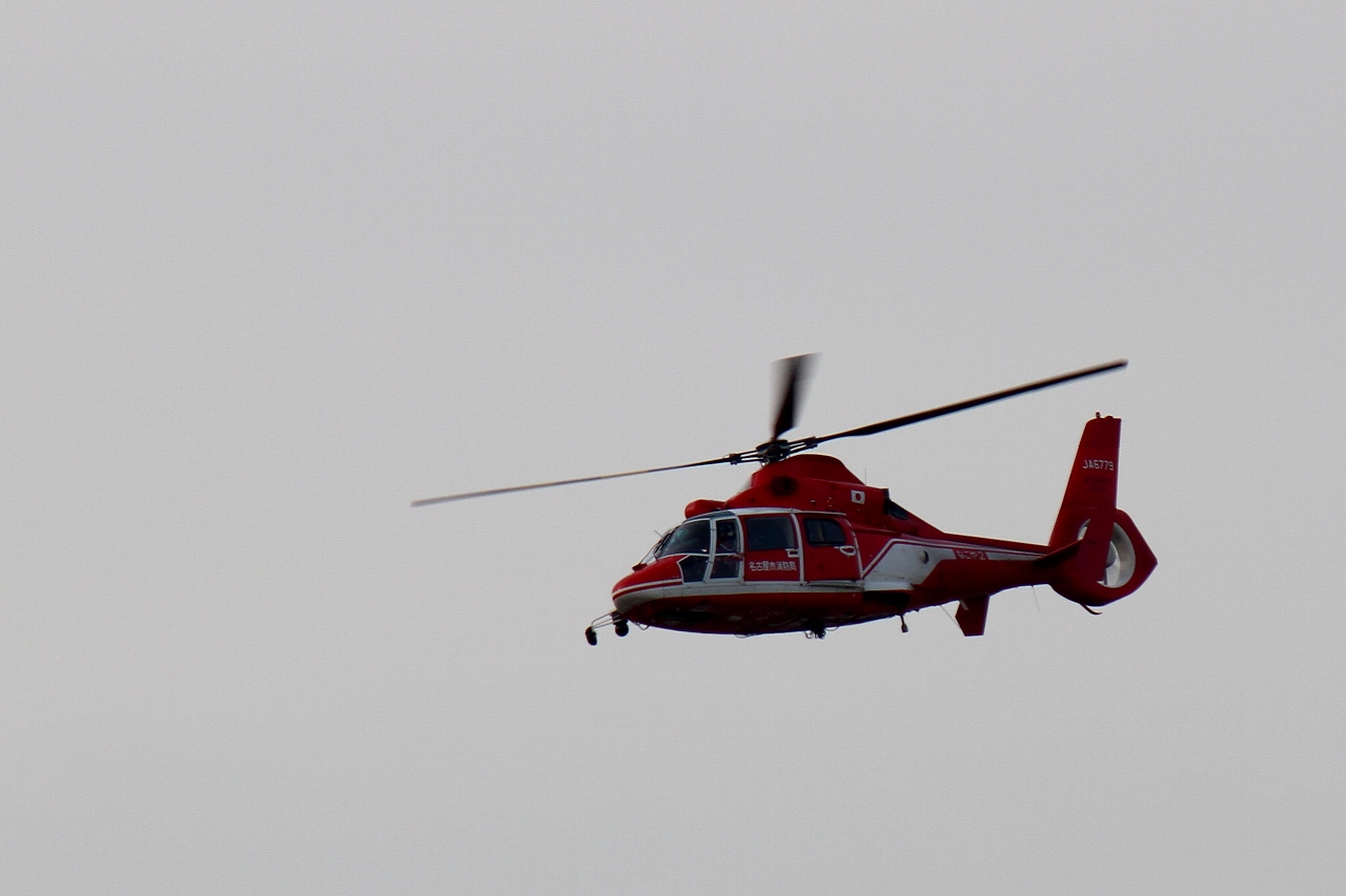 s-DPP_0452.jpg