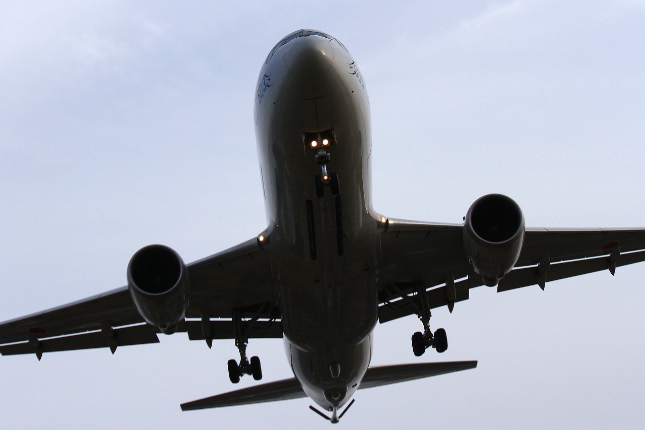 s-DPP_0460.jpg