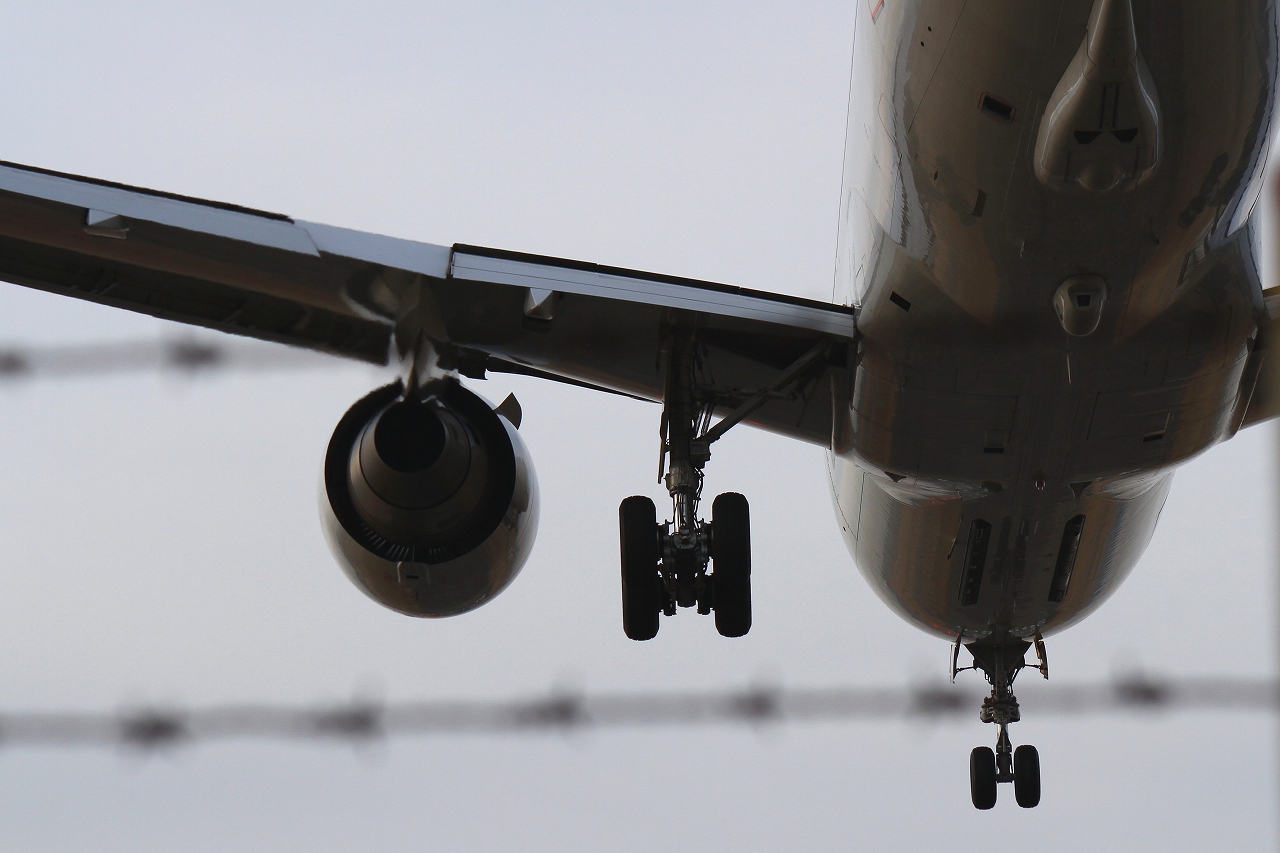 s-DPP_0461.jpg