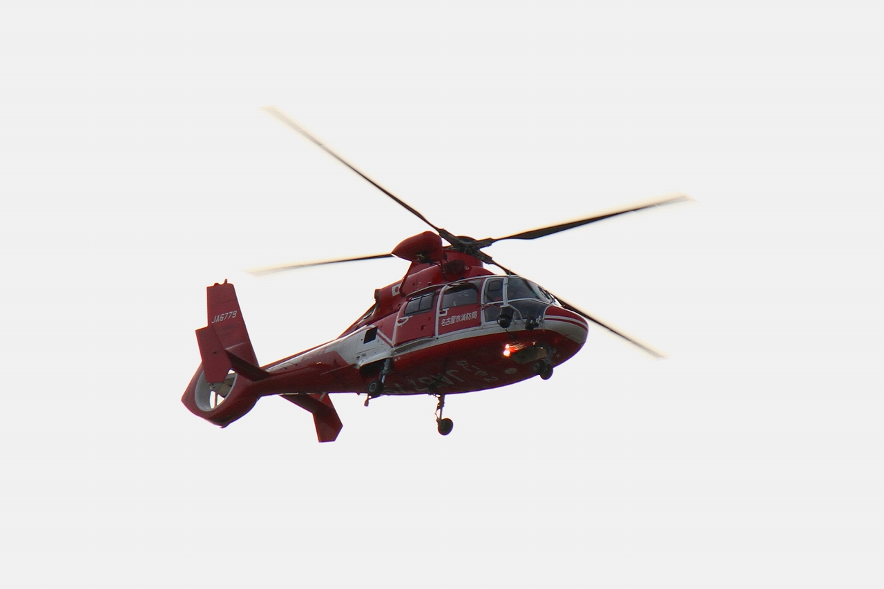 s-DPP_0471.jpg