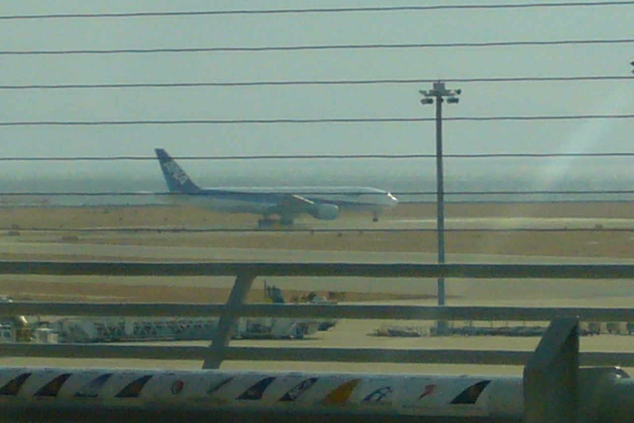 s-DPP_0719.jpg