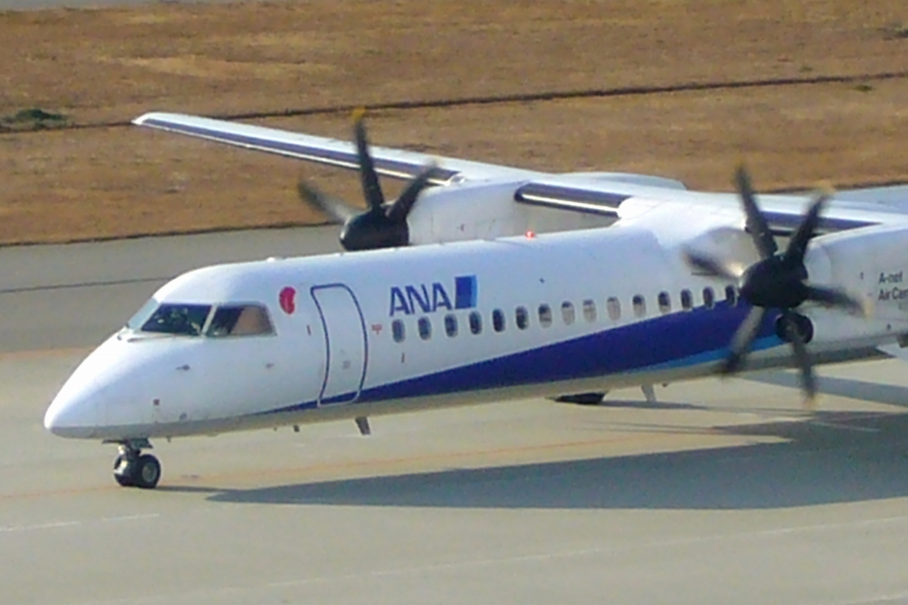 s-DPP_0725.jpg