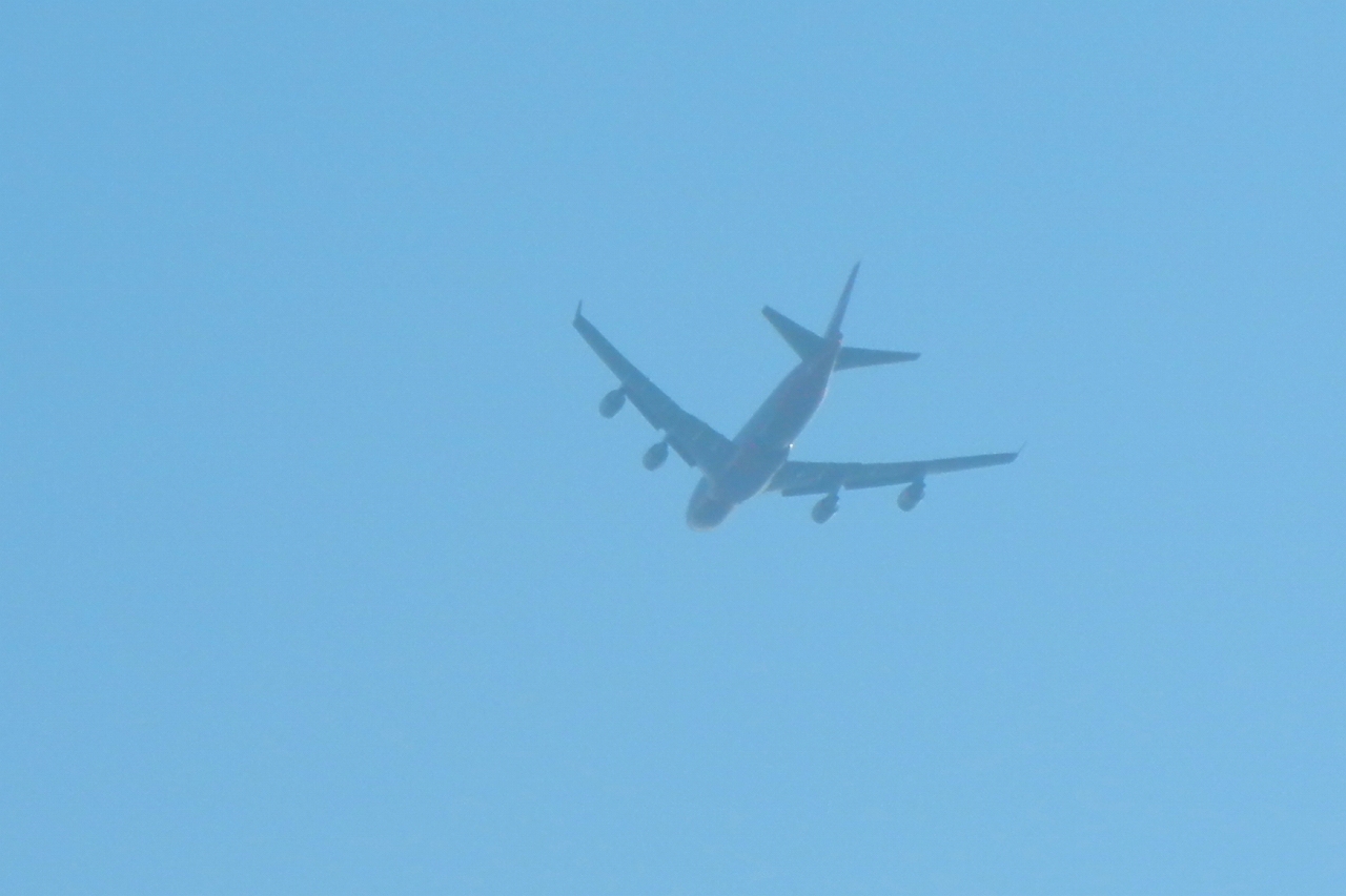 s-DPP_0740.jpg