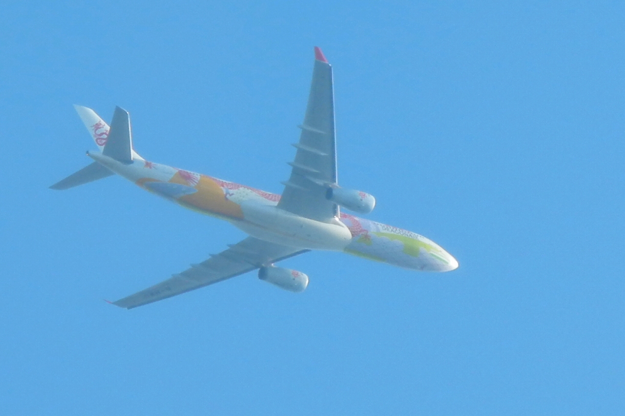 s-DPP_0741.jpg