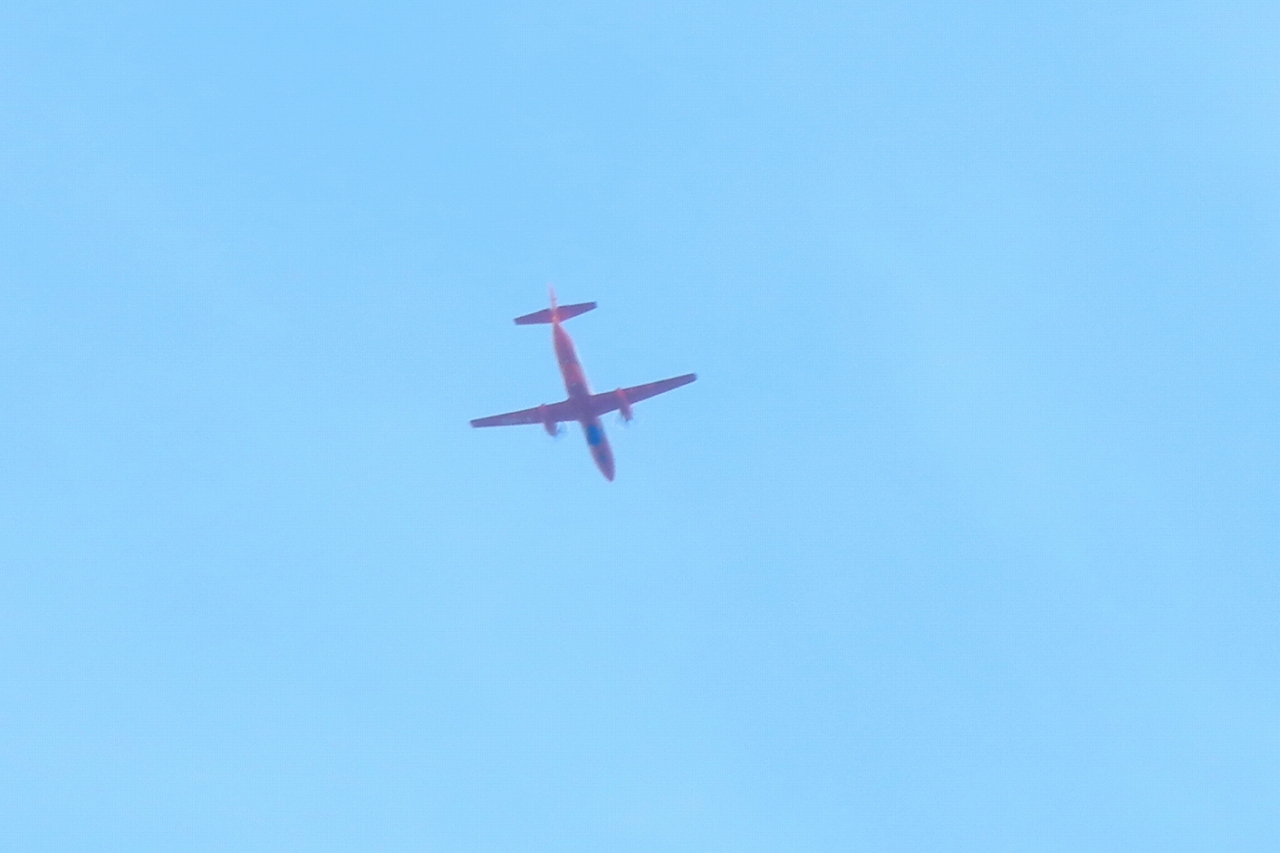 s-DPP_0744.jpg