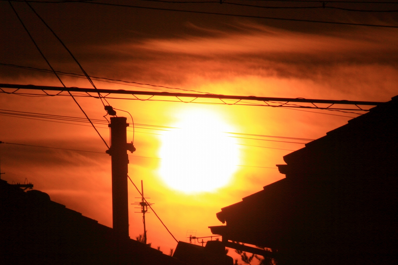 s-DPP_0779.jpg
