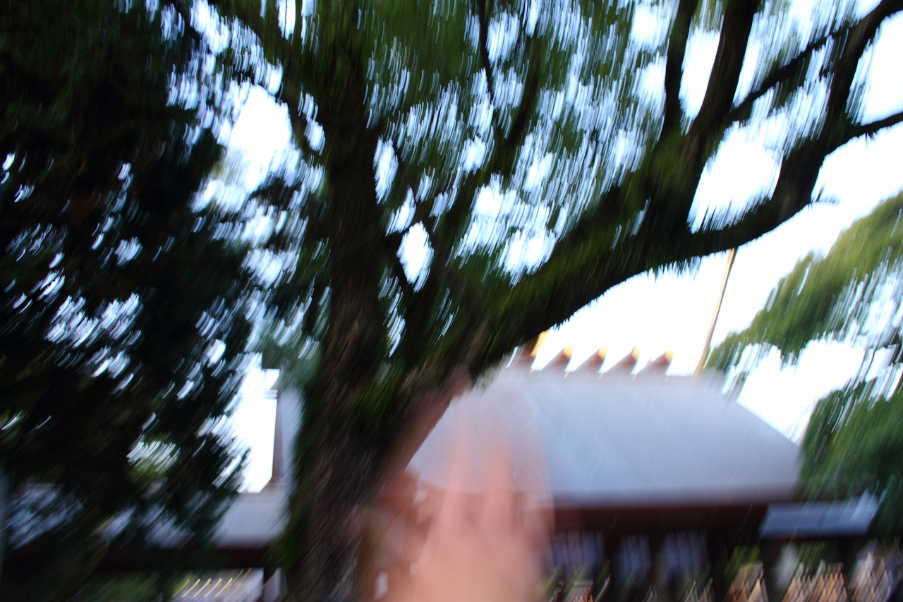 s-DPP_0786.jpg