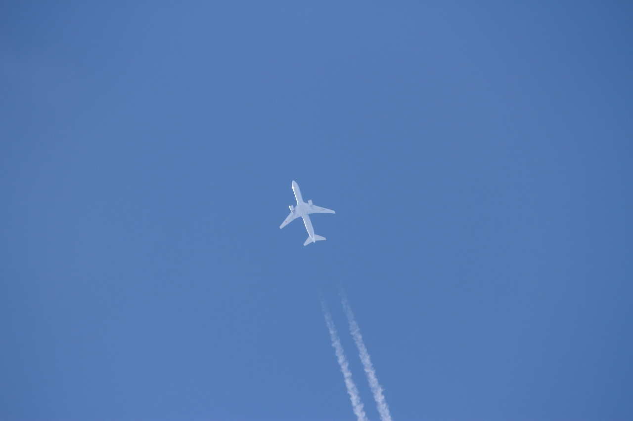 s-DPP_0800.jpg
