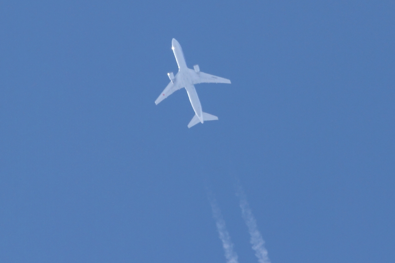s-DPP_0801.jpg