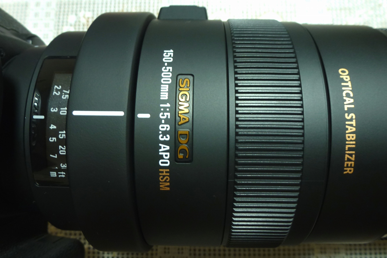 新しいレンズ SIGMA APO 150-500㎜ F/5-6.3 DG OS HSMのレビュー - 大空を舞う機影を追う