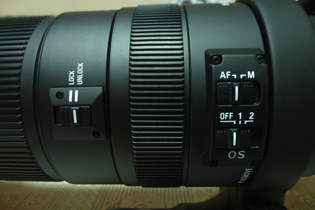 s-DPP_0812.jpg