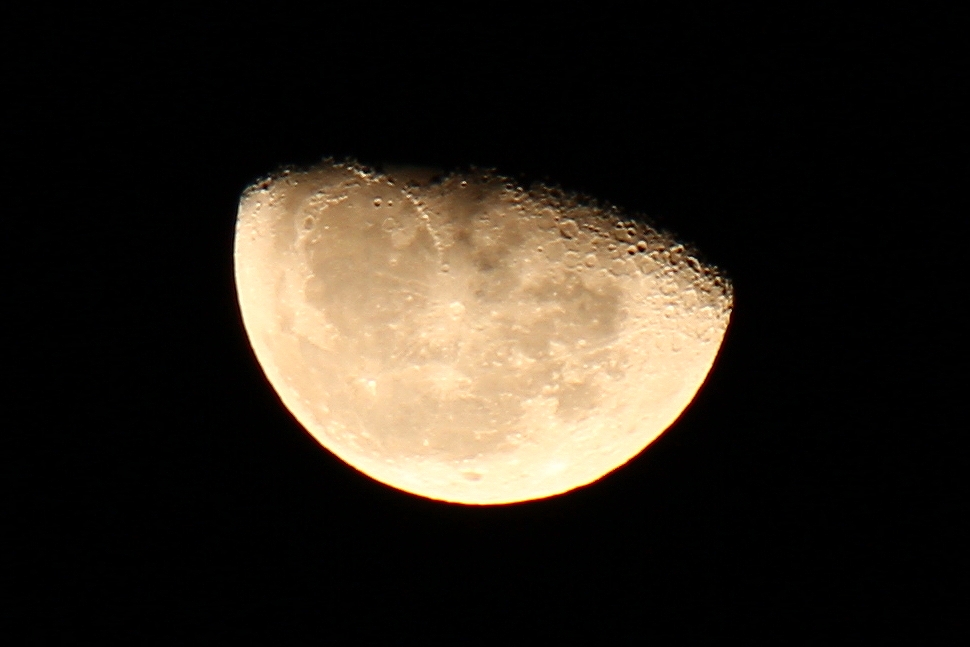s-DPP_0817.jpg