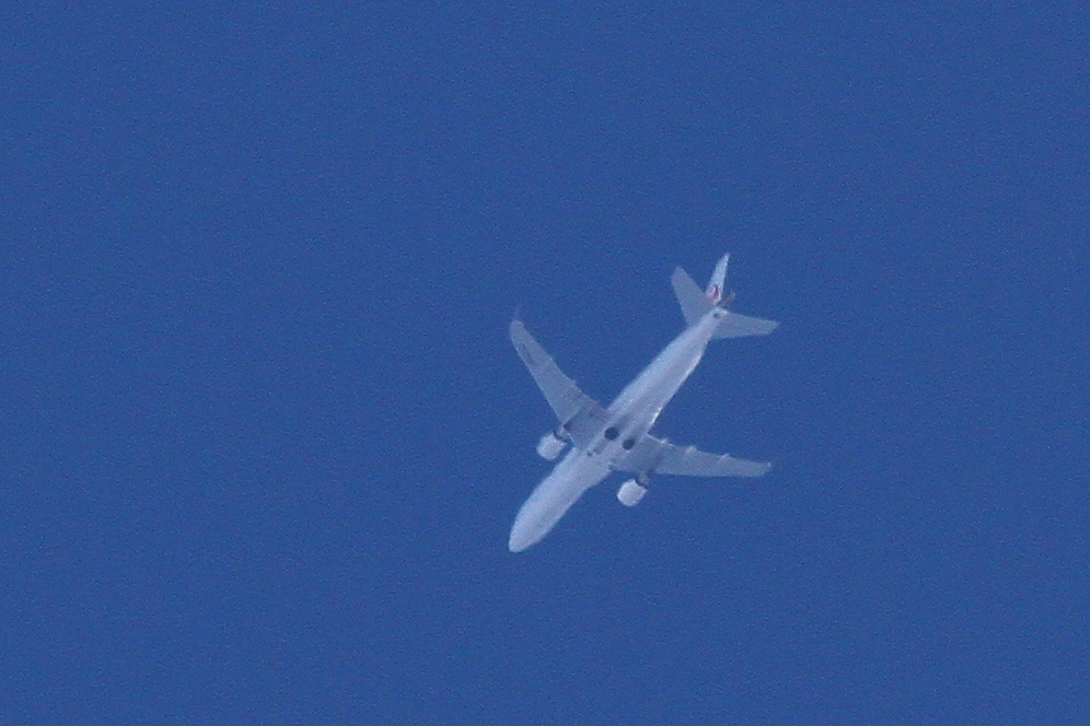 s-DPP_0820.jpg