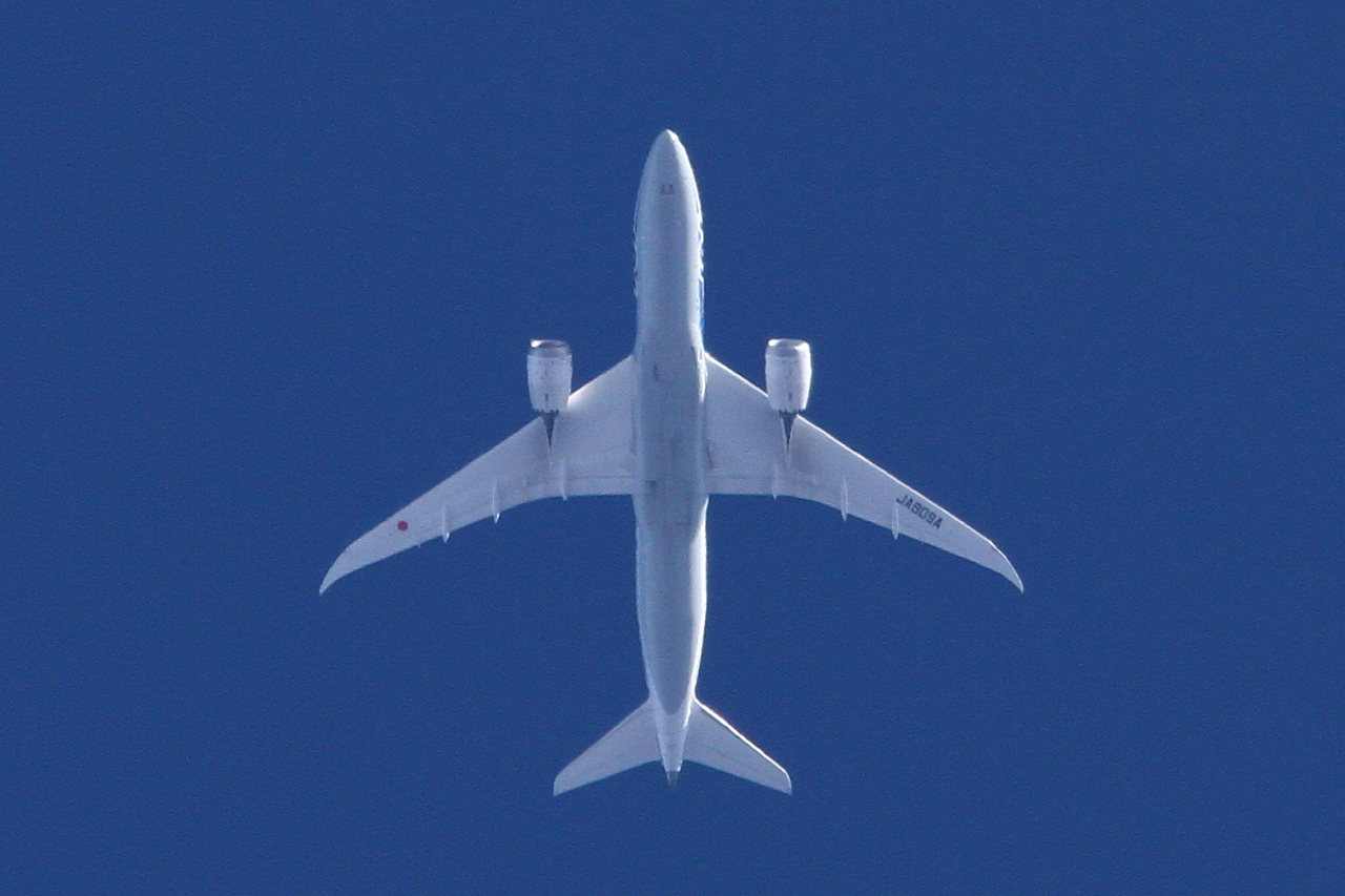 s-DPP_0821.jpg