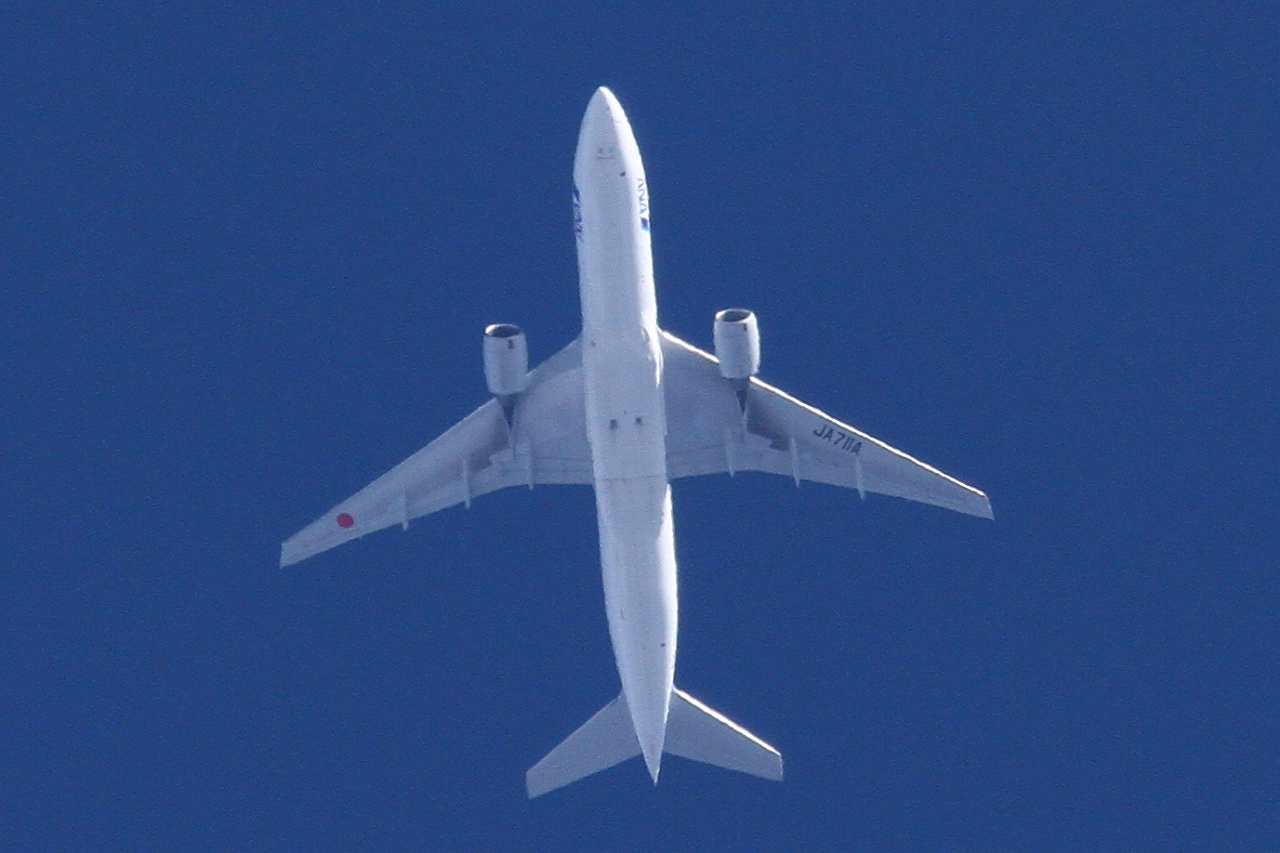 s-DPP_0822.jpg